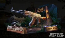 和平精英最新爆料新皮肤,神秘特工风，酷炫登场！