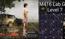 新皮肤爆料视频15秒,15秒带你领略视觉盛宴