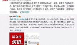 恋情爆料新闻报道内容怎么写,独家爆料背后的真相与情感纠葛